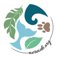 Nereide