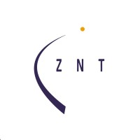 ZNT Assessoria e Consultoria