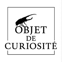 Objet de Curiosité