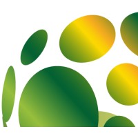 Total Energy Solutions