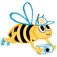 Bee Le Havre