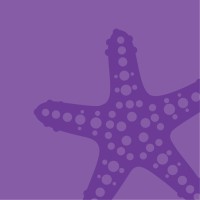 Starfish People HR