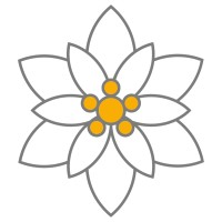 Euronovis Srl