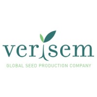 Verisem Seeds