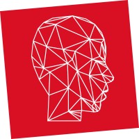 Digital Minds NL