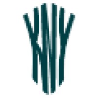 Kny Design Austria Crystal Chandeliers