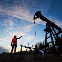 Albania Petrolium LTD