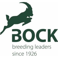 Bock