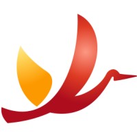 PROFESSIONAL SPAIN CONSULTING SL