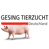 Gesing Tierzucht
