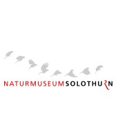 Naturmuseum Solothurn