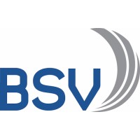 BSV Offshore