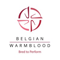 Belgian Warmblood - BWP