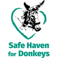 Safe Haven for Donkeys
