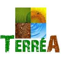 Terréa